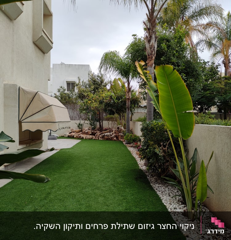 ניקוי החצר גיזום שתילת פרחים ותיקון השקיה.
